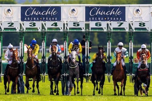 Большие скачки в Chuchle Arena Praha