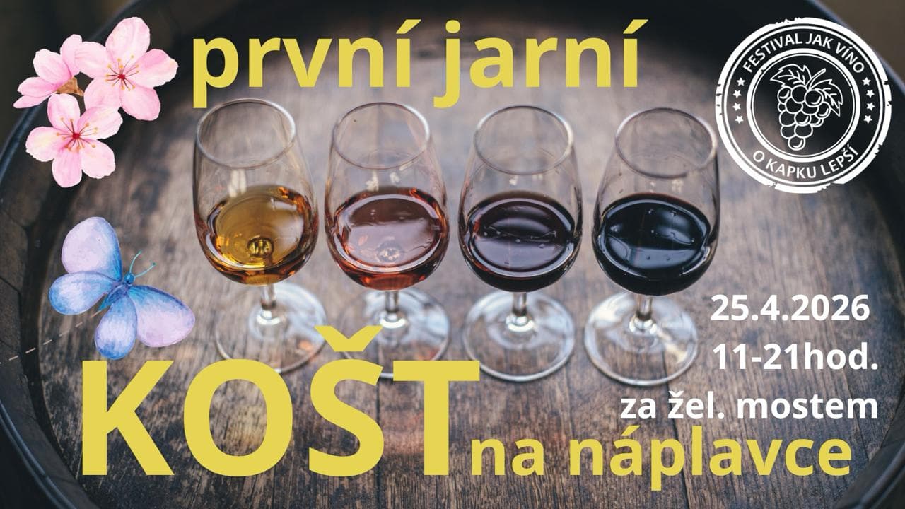 Весенняя дегустация вина на Наплавке